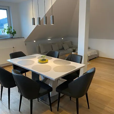 Moser Apartment