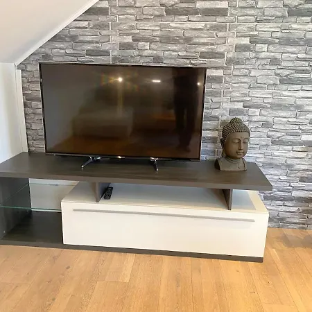 Apartment Moser *