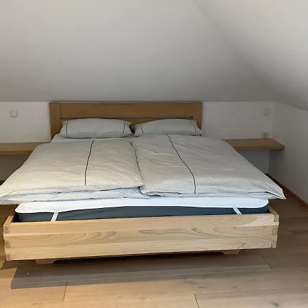 Moser Apartment